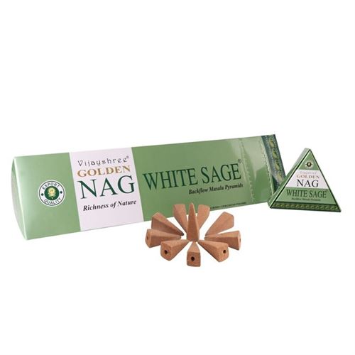 8906022932041 INC BACKFLOW GOLDEN NAG WHITE SAGE