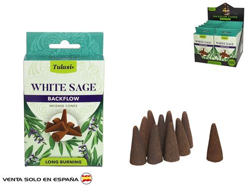 47601 INCENSO CONO X10TULASI WHITE SAGE