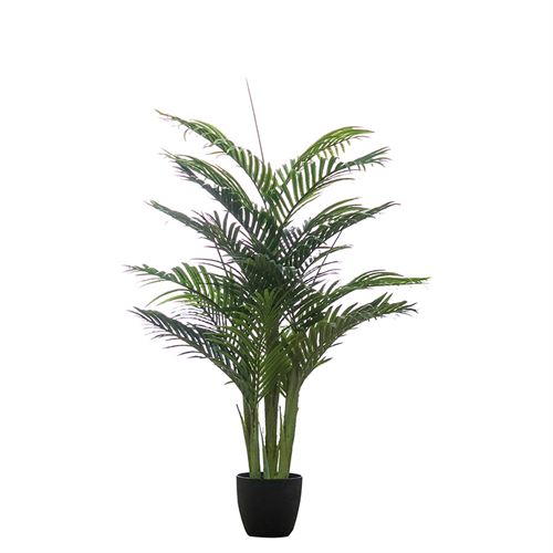 PLANTA  ARECA PALM 130CM