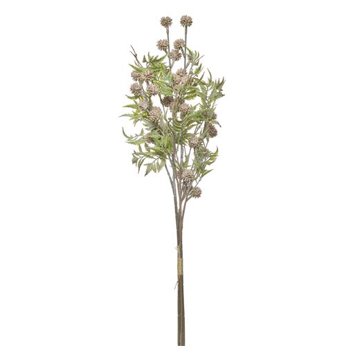 42217 HASTE - FROSTED ERYNGIUM BUNDLE X4 70CM