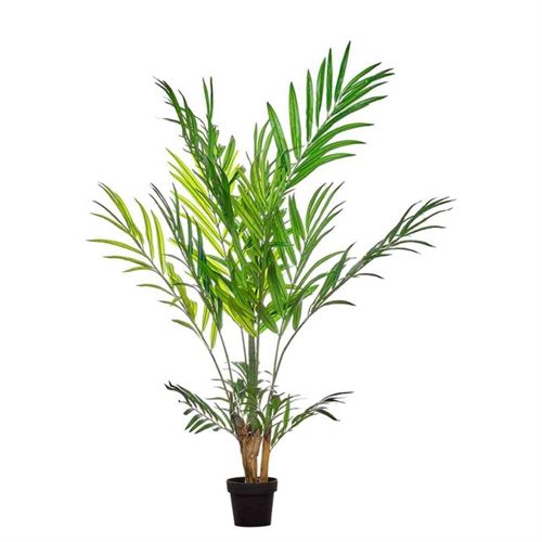 43291 BAMBU PALM 200CM