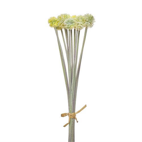 42252 HASTE - FROSTED DANDELION BUNDLE X12 52CM