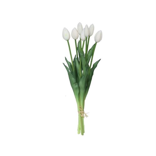 217741 TULIPA X7 45CM