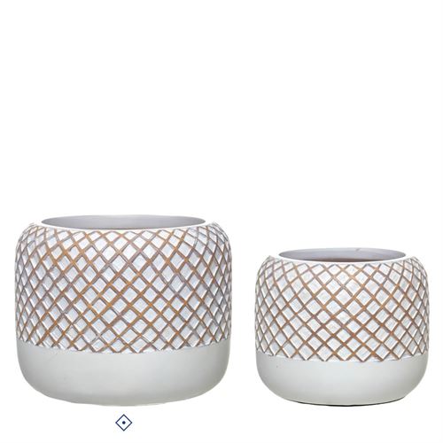 86231 VASO POLIRESINA C 25,00 L 25,00 A 20,50