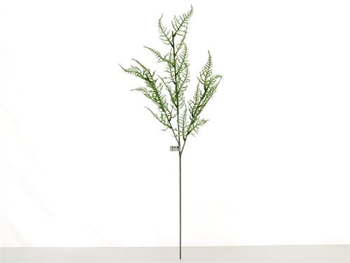 2801 HASTE ASPARGO FLOCADO X3 75CM