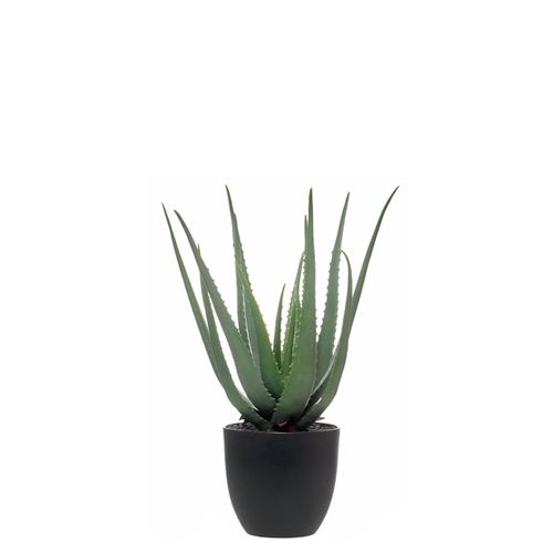 PLANTA ARTIFICIAL ALOE 55CM