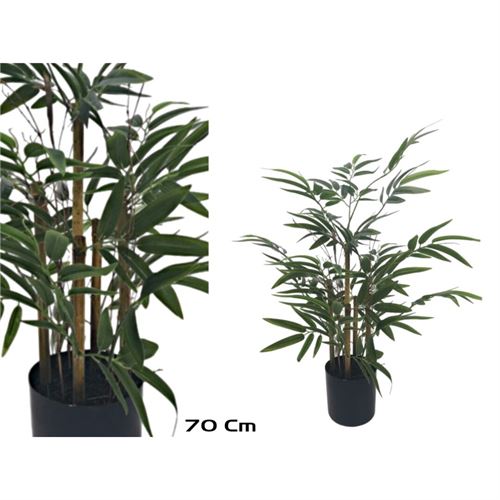 206646 PLANTA BAMBU 70CM