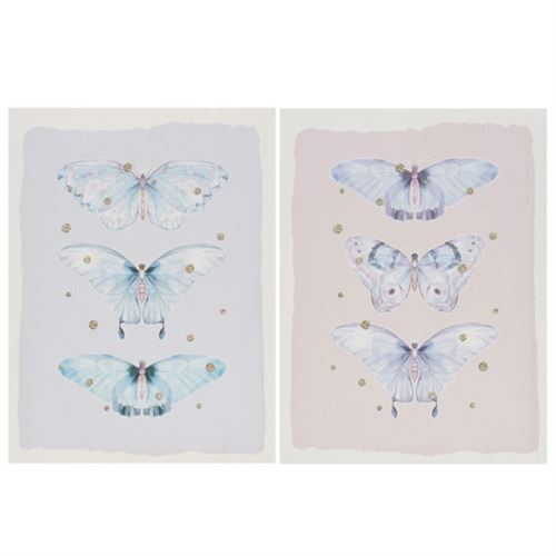 207964 QUADRO BUTTERFLY STAGES 30X40X1,5CM 2 ASS.