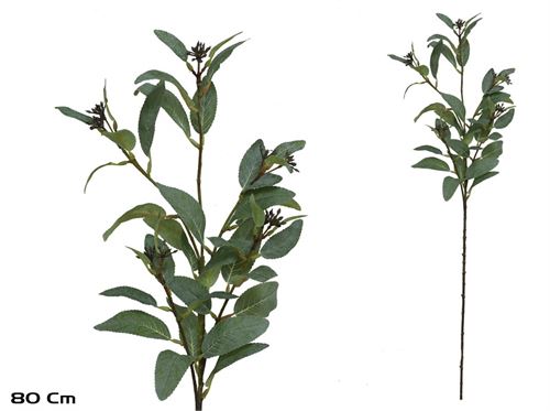 594385 EUCALIPTO X 39 - 80 CM (VERDE)