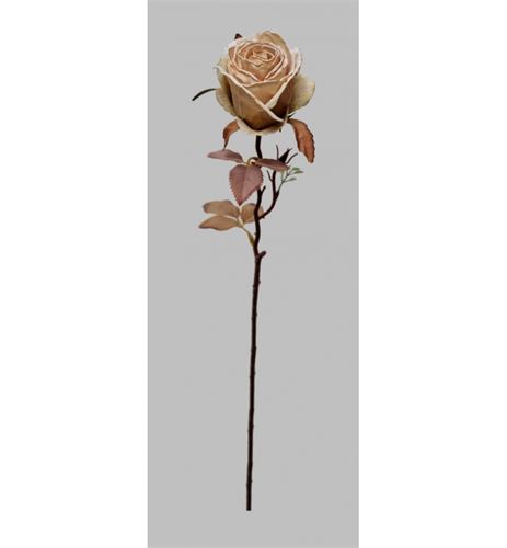 HASTE BOTAO ROSA ROSA 63CM