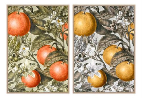 CU-186955 QUADRO PS TECIDO TELA 53X4,5X73 FRUTA 2 MOD.