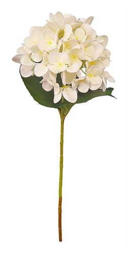 50-IT-6475 HORTENSE CREME 60CM