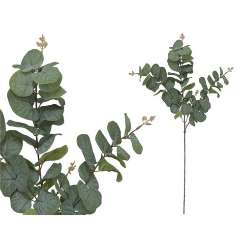 207209 HASTE EUCALIPTO 81CM