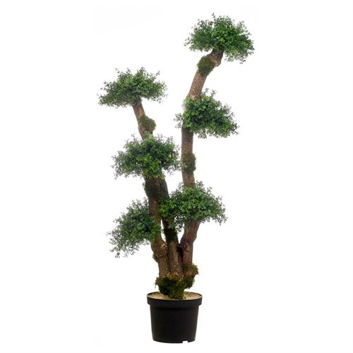 BONSAI SALSE TRIPLEX 130CM - 51104