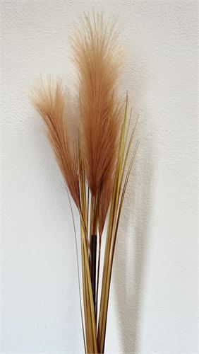 HIERBA DE LAS PAMPAS CASTANHO 96CM