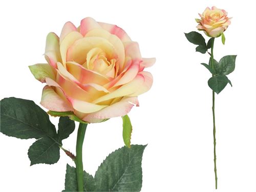 43990 HASTE ROSA 51CM