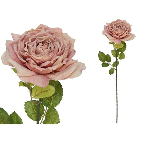 HASTE ROSA SECA 66CM