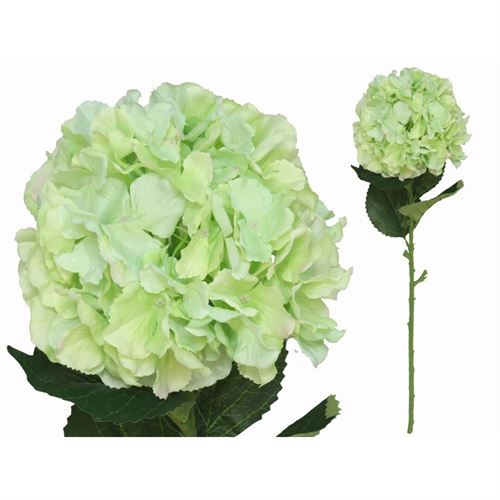 217123 HASTE HORTENSIA 20.00 X 25.00 X 77.00 CM