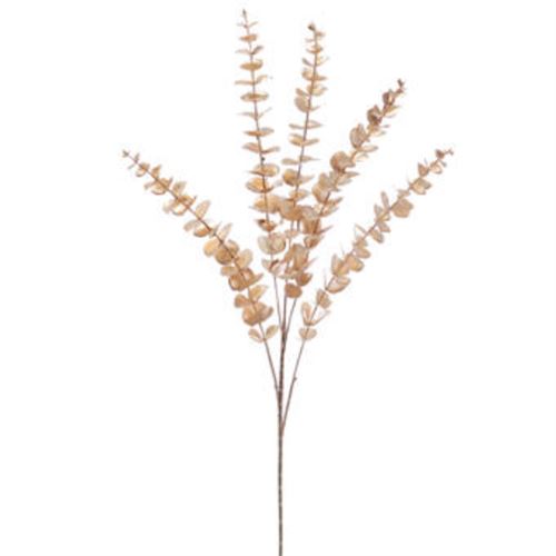 NAV562943 HASTE EUCALIPTO 85CM