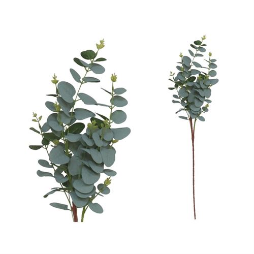 222042 HASTE DE EUCALIPTO 90CM
