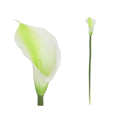 873260 HASTE FLOR CALA 72CM
