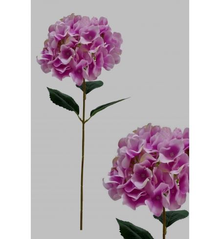 2134900000407 HASTE HORTENSE 60CM