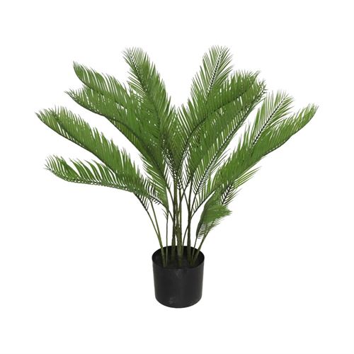 ARECA 75 CM