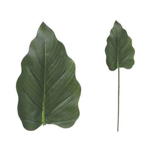 206509 FOLHA DE TARO 74CM