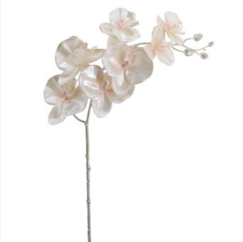 NAV264870 HASTE PHALENOPSIS 75CM