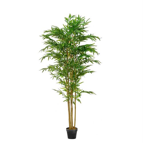 PLANTA BAMBU 155CM