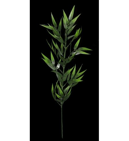 9448500000204 HASTE BAMBOO