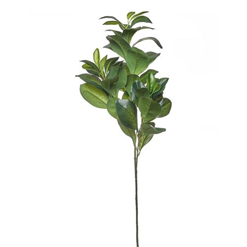 HASTE VERDURA WATERCRESS LEAVES 98CM