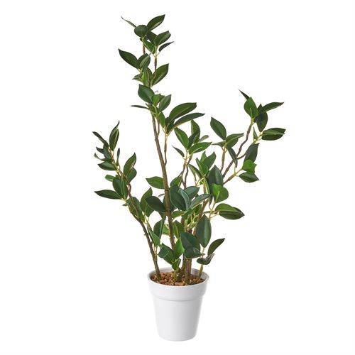 802360 PLANTA PLÁSTICO 11 X 11 X 40 CM