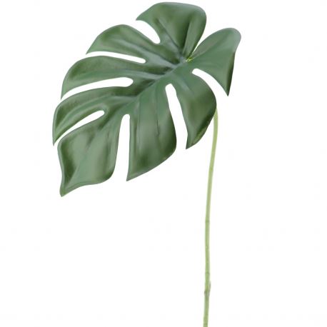 4232 SPLIT PHILO 45CM