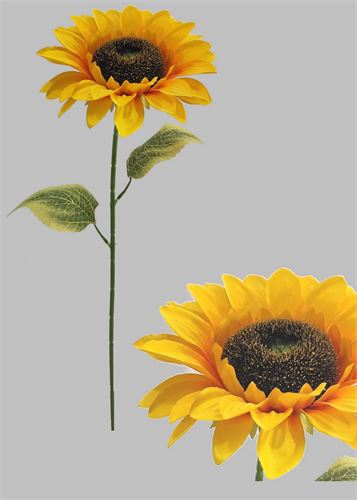 2134700000935 HASTE GIRASSOL 60CM