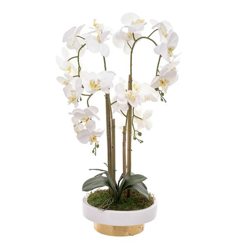46164 ORQUIDEA 4 CAULES TAÇA TUBO25 BRANCO/OURO