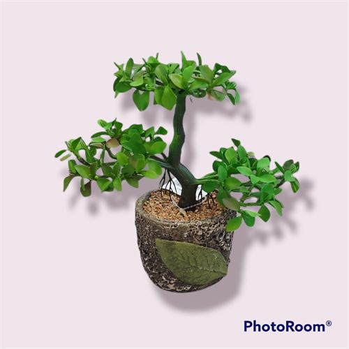 14188 VASO BONSAI THREE 24X13X25CM