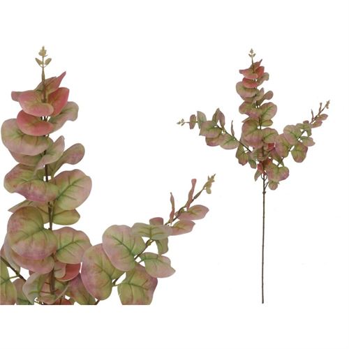 207315 HASTE EUCALIPTO 81CM