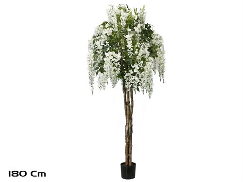 206790 ÁRVORE WISTERIA 180CM