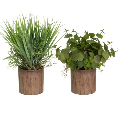 806110 PLANTA 2/M PP-PE 17 X 17 X 22 CM