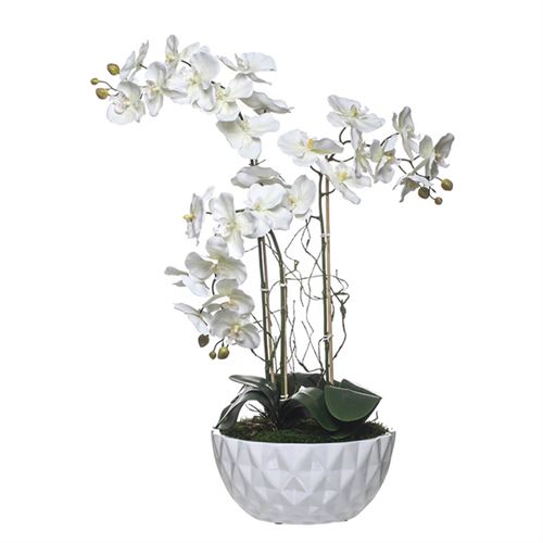 ORQUIDEA BRANCA C/ 3 CAULES TAÇA GUESS 32X32X78CM