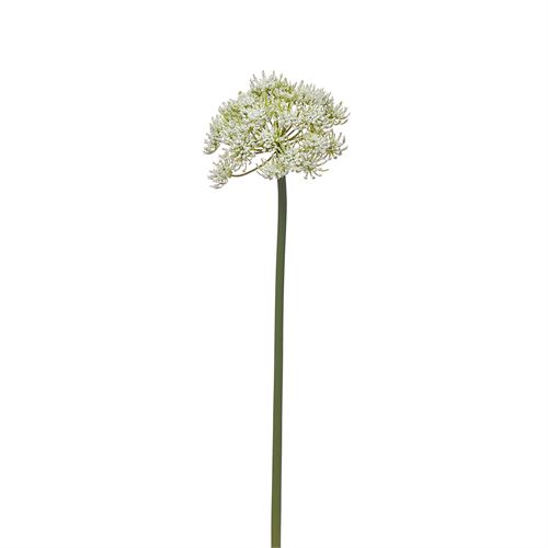 42256 HASTE SINGLE TRADESCANTIA 62CM