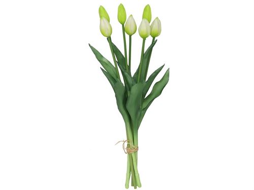 217796 TULIPA X7