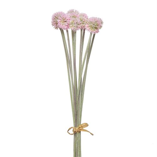 42253 HASTE - FROSTED DANDELION BUNDLE X12 52CM