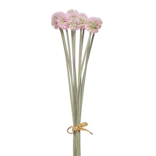 HASTE - FROSTED DANDELION BUNDLE X12 52CM