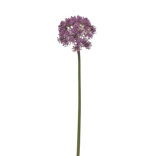 42254 HASTE SINGLE TRADESCANTIA 62CM