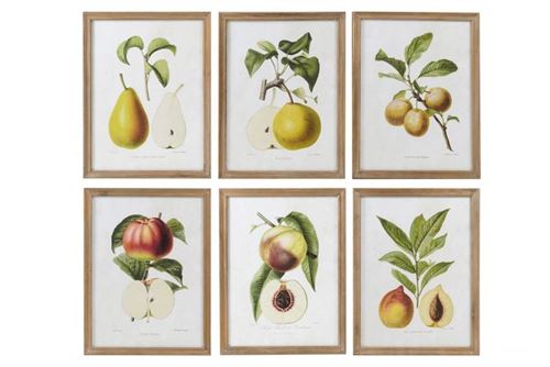 CU-185206 QUADRO VIDRO MDF 45X2X60 FRUTAS MOLDURADO 6 MOD