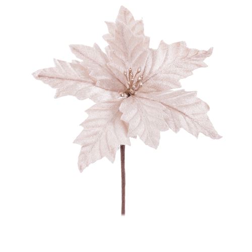 742133 POINSETTIA POLIESTER CHAMPAGNE 17 X 17 X 15 CM