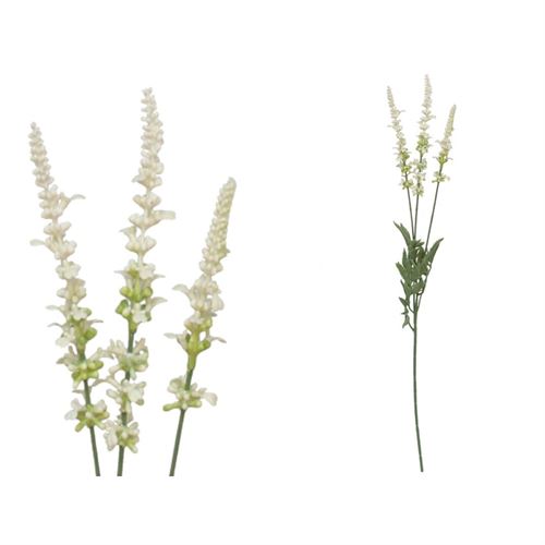 188041 HASTE LAVANDA X 3-66 CM