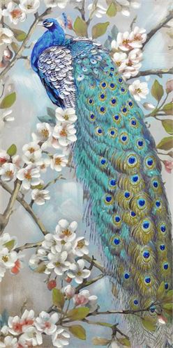 10000131 TELA 60X90CM